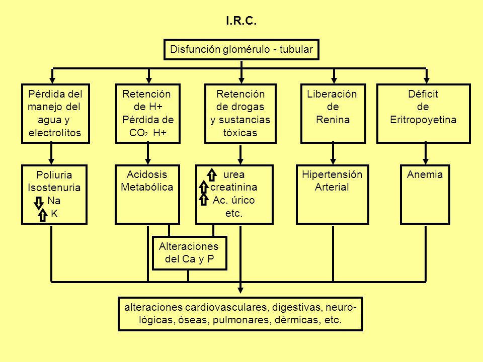I.R.C. Disfunción glomérulo - tubular Pérdida del manejo del agua y