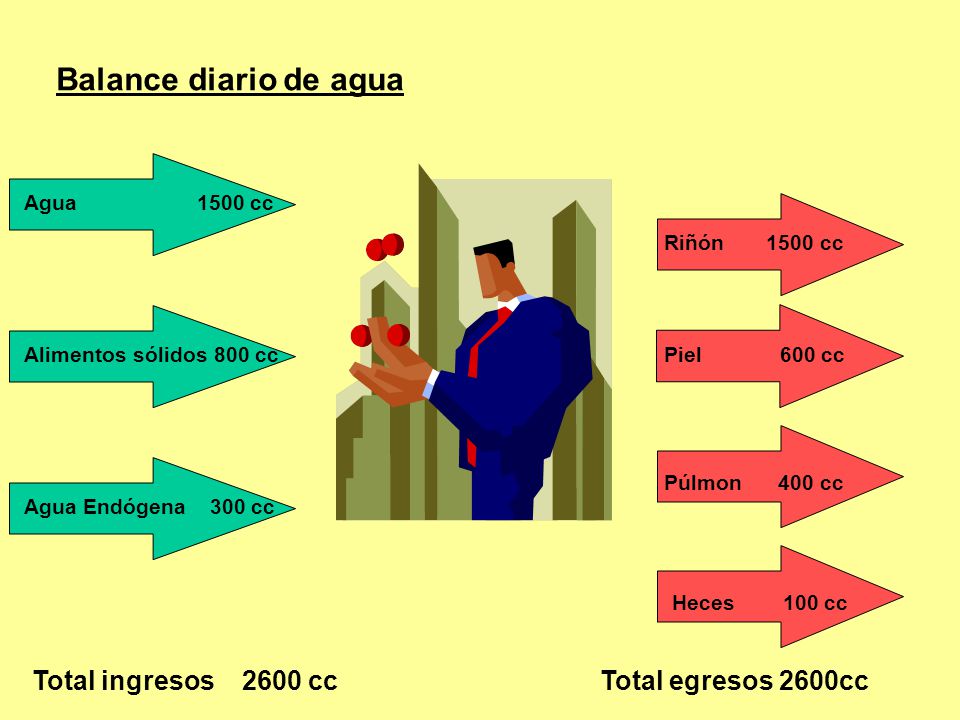 Balance diario de agua Total ingresos 2600 cc Total egresos 2600cc