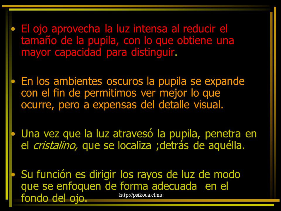 El ojo aprovecha la luz intensa al reducir el tamaño de la pupila, con lo que obtiene una mayor capacidad para distinguir.
