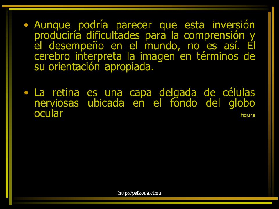 Aunque podría parecer que esta inversión produciría dificultades para la comprensión y el desempeño en el mundo, no es así. El cerebro interpreta la imagen en términos de su orientación apropiada.