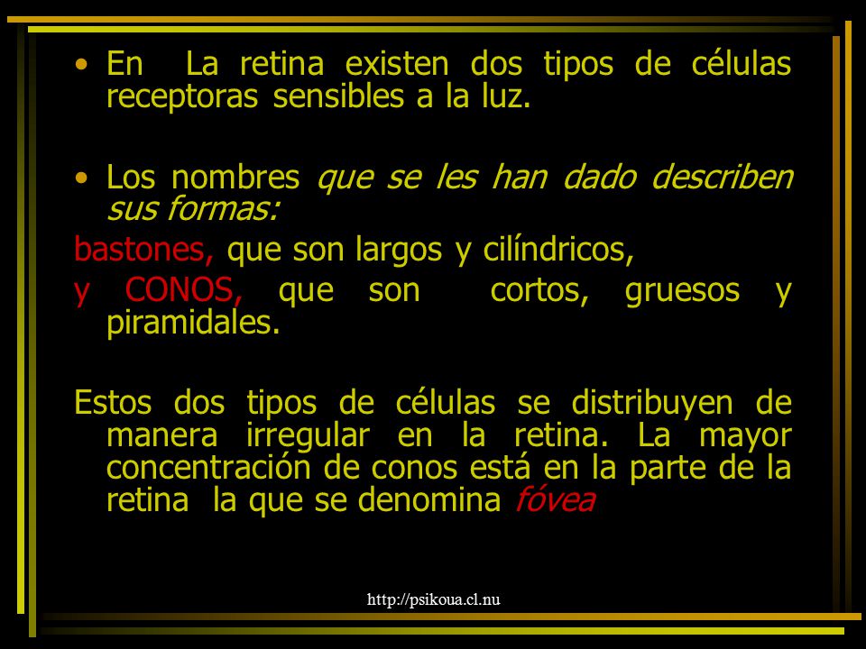 Los nombres que se les han dado describen sus formas: