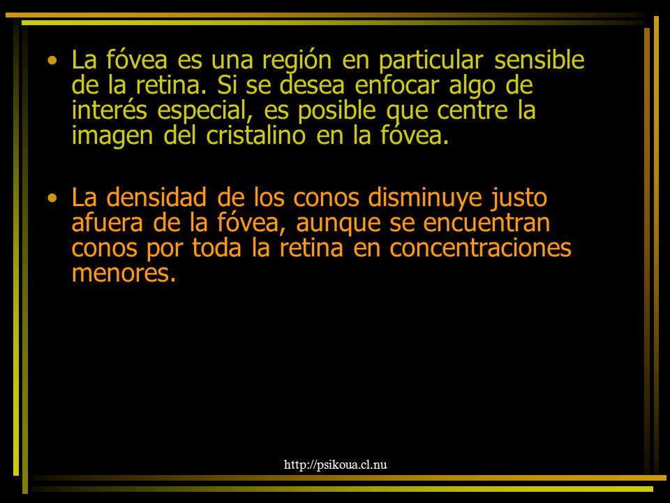 La fóvea es una región en particular sensible de la retina