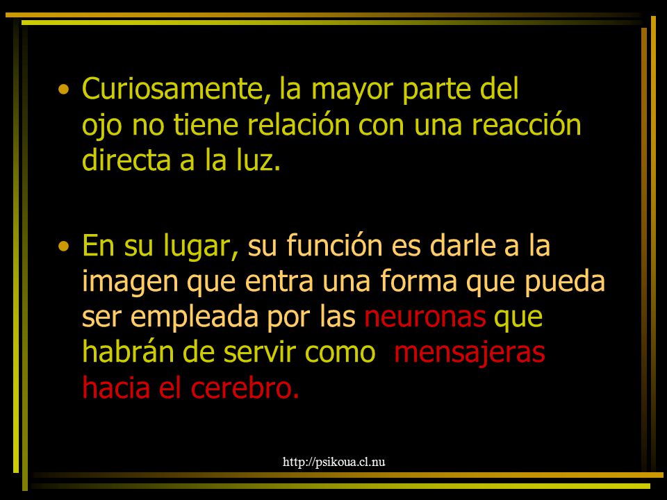 Curiosamente, la mayor parte del ojo no tiene relación con una reacción directa a la luz.