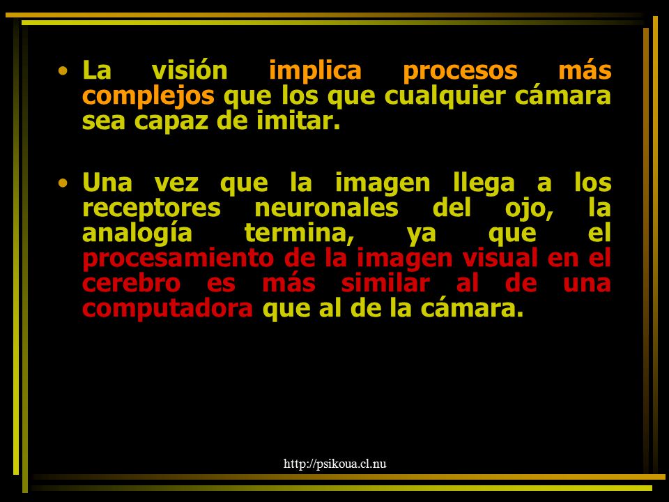 La visión implica procesos más complejos que los que cualquier cámara sea capaz de imitar.