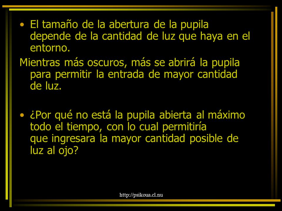 El tamaño de la abertura de la pupila depende de la cantidad de luz que haya en el entorno.