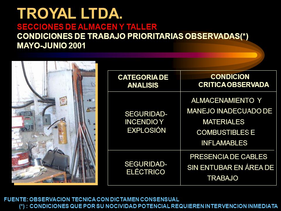 TROYAL LTDA. SECCIONES DE ALMACEN Y TALLER CONDICIONES DE TRABAJO PRIORITARIAS OBSERVADAS(*) MAYO-JUNIO 2001
