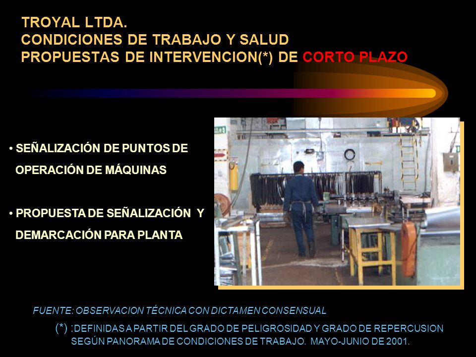 TROYAL LTDA. CONDICIONES DE TRABAJO Y SALUD PROPUESTAS DE INTERVENCION(*) DE CORTO PLAZO