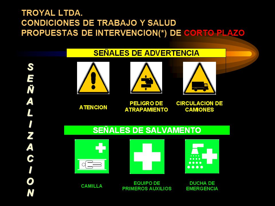TROYAL LTDA. CONDICIONES DE TRABAJO Y SALUD PROPUESTAS DE INTERVENCION(*) DE CORTO PLAZO