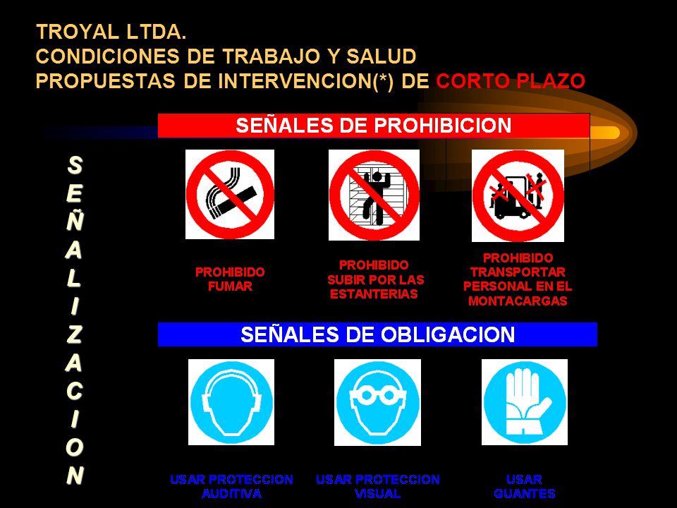 TROYAL LTDA. CONDICIONES DE TRABAJO Y SALUD PROPUESTAS DE INTERVENCION(*) DE CORTO PLAZO