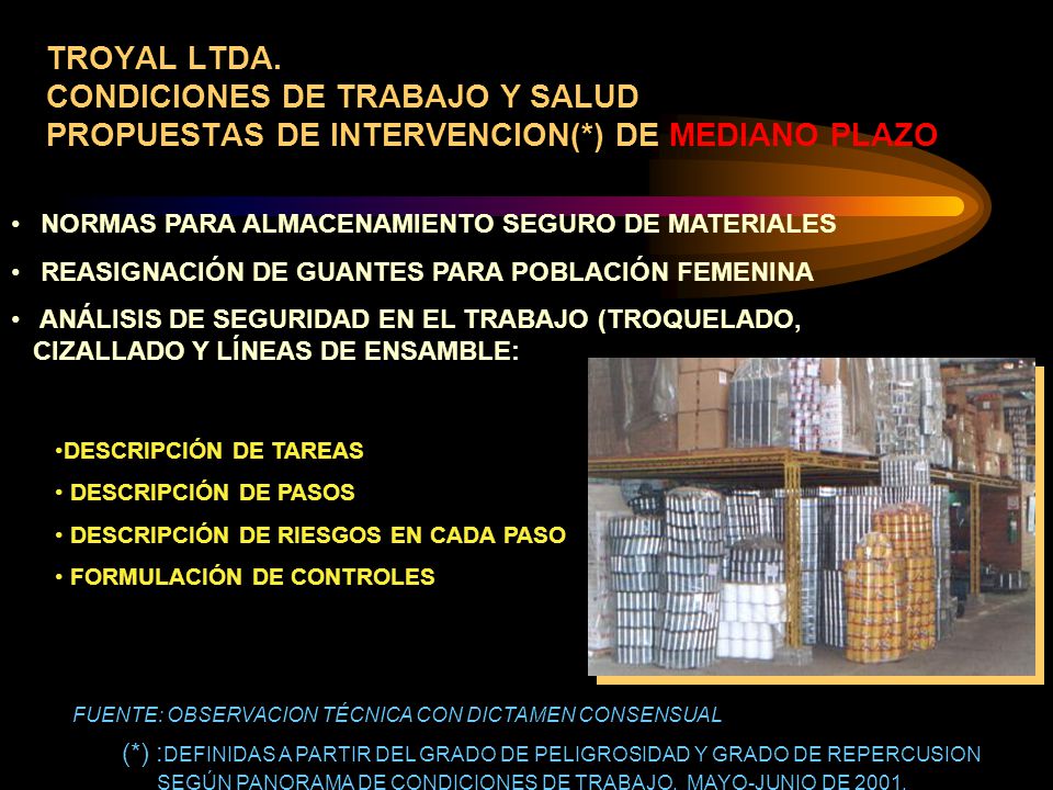 TROYAL LTDA. CONDICIONES DE TRABAJO Y SALUD PROPUESTAS DE INTERVENCION(*) DE MEDIANO PLAZO