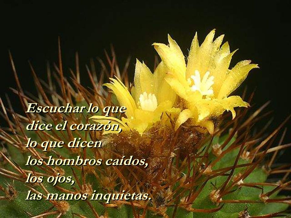 Escuchar lo que dice el corazón, lo que dicen los hombros caídos, los ojos, las manos inquietas.