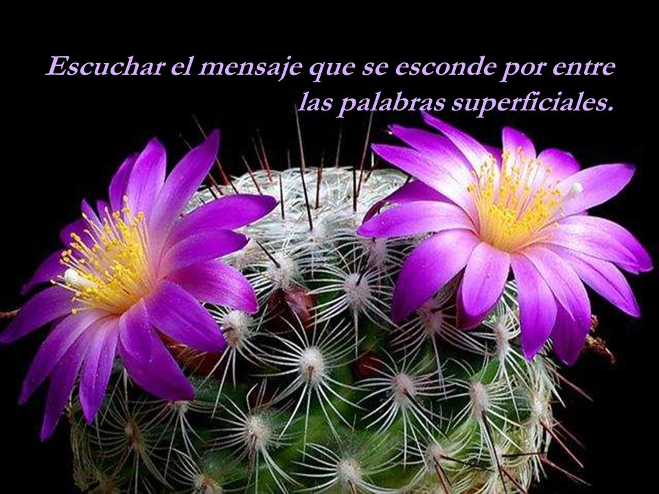 Escuchar el mensaje que se esconde por entre las palabras superficiales.