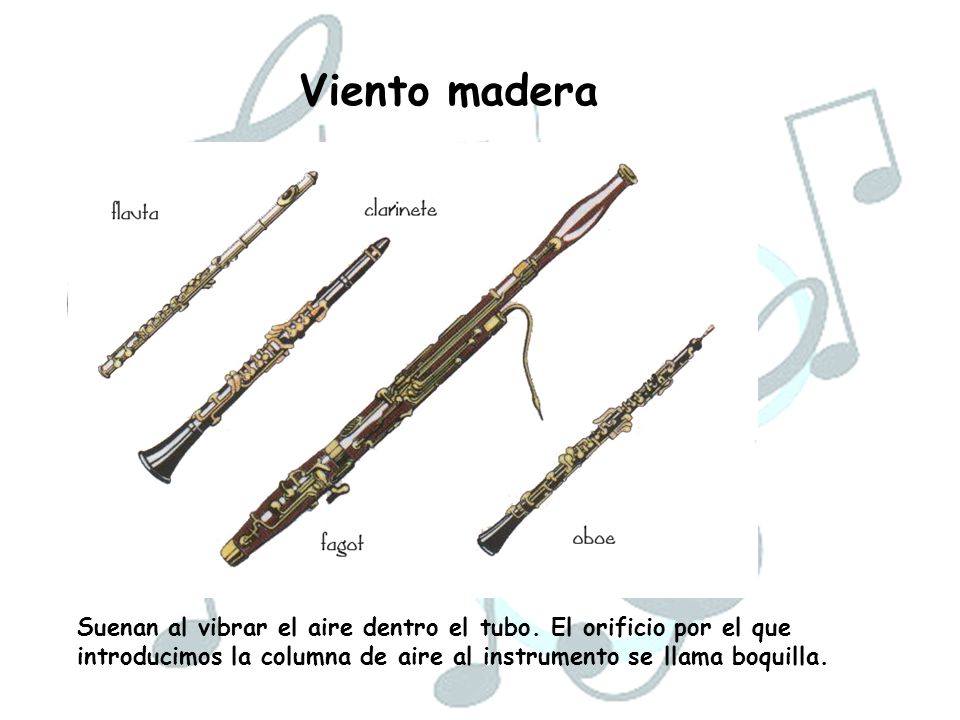 Viento madera Suenan al vibrar el aire dentro el tubo.