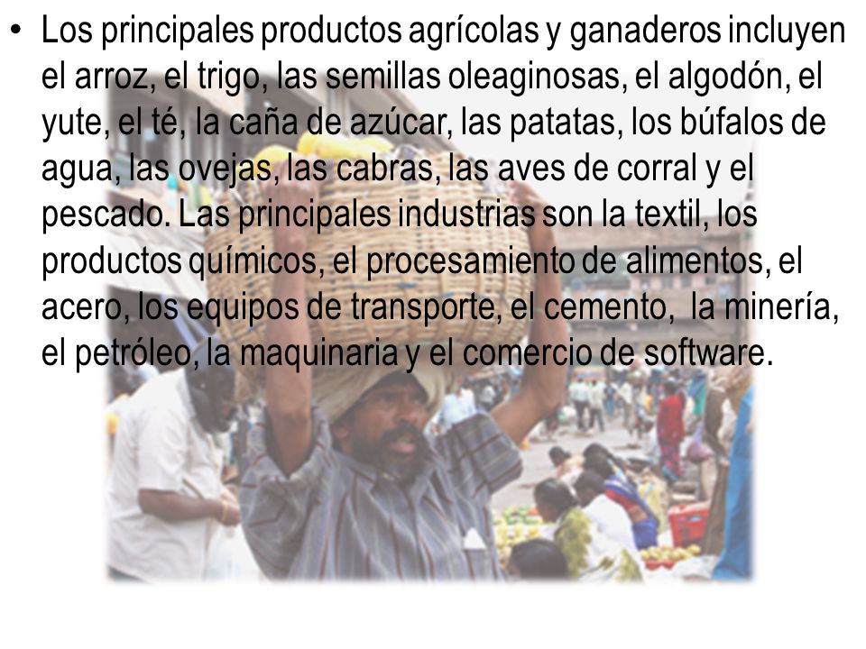 Los principales productos agrícolas y ganaderos incluyen el arroz, el trigo, las semillas oleaginosas, el algodón, el yute, el té, la caña de azúcar, las patatas, los búfalos de agua, las ovejas, las cabras, las aves de corral y el pescado. Las principales industrias son la textil, los productos químicos, el procesamiento de alimentos, el acero, los equipos de transporte, el cemento, la minería, el petróleo, la maquinaria y el comercio de software.