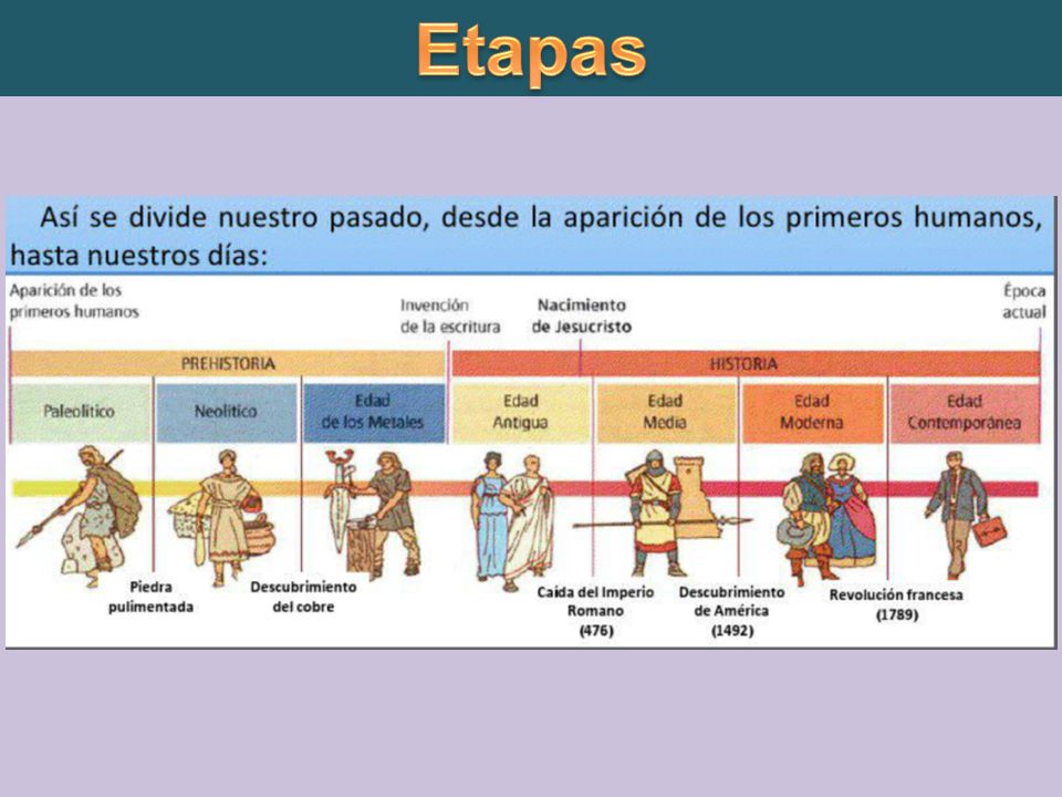 Etapas