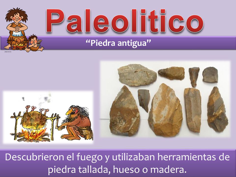 Paleolitico Piedra antigua Descubrieron el fuego y utilizaban herramientas de piedra tallada, hueso o madera.
