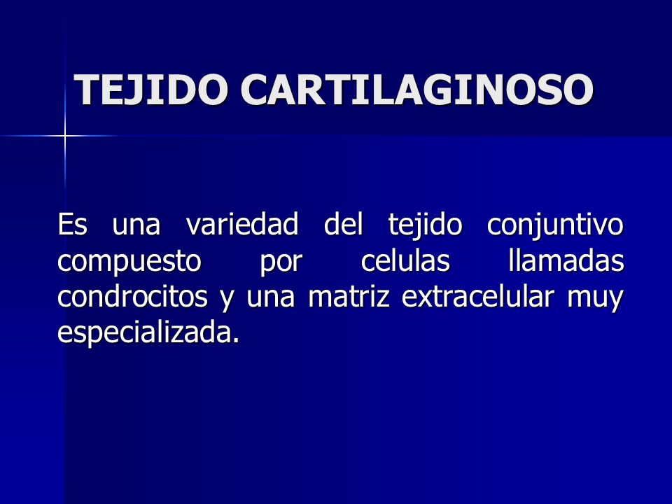 TEJIDO CARTILAGINOSO Es una variedad del tejido conjuntivo compuesto por celulas llamadas condrocitos y una matriz extracelular muy especializada.