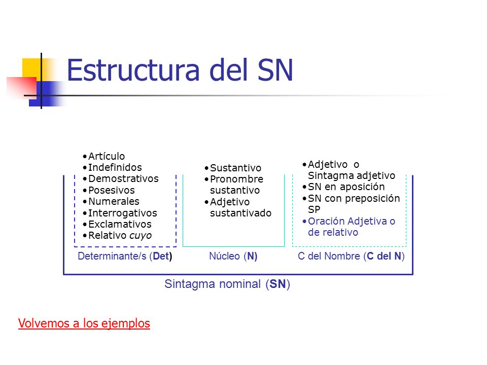 Estructura del SN Sintagma nominal (SN) Volvemos a los ejemplos