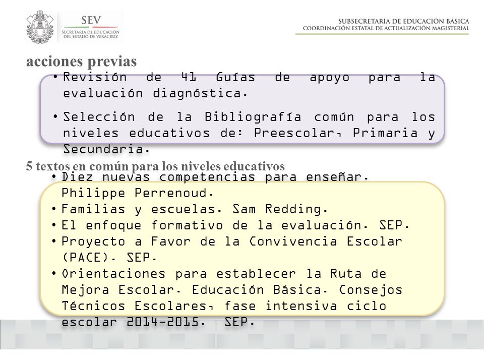 acciones previas Revisión de 41 Guías de apoyo para la evaluación diagnóstica.