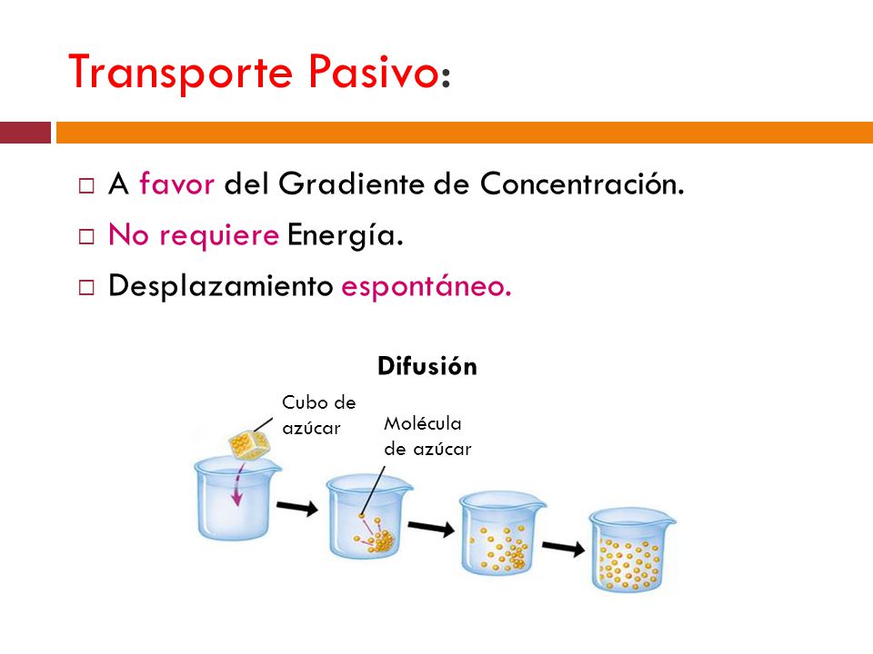 Transporte Pasivo: A favor del Gradiente de Concentración.