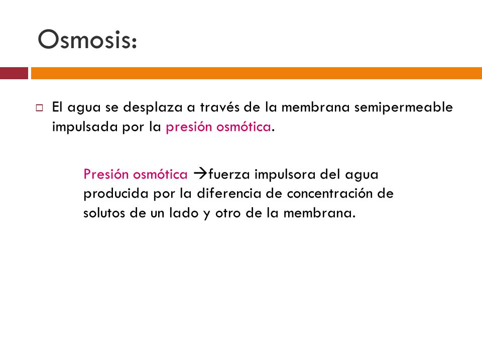 Osmosis: El agua se desplaza a través de la membrana semipermeable impulsada por la presión osmótica.