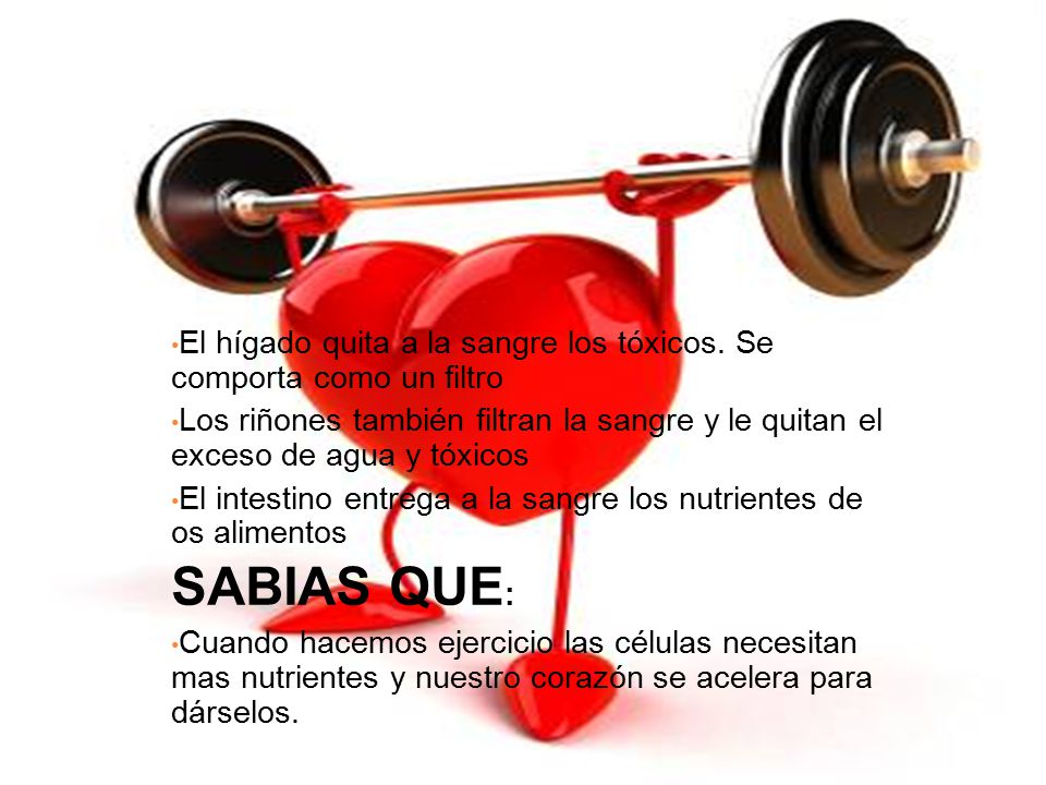 El hígado quita a la sangre los tóxicos. Se comporta como un filtro