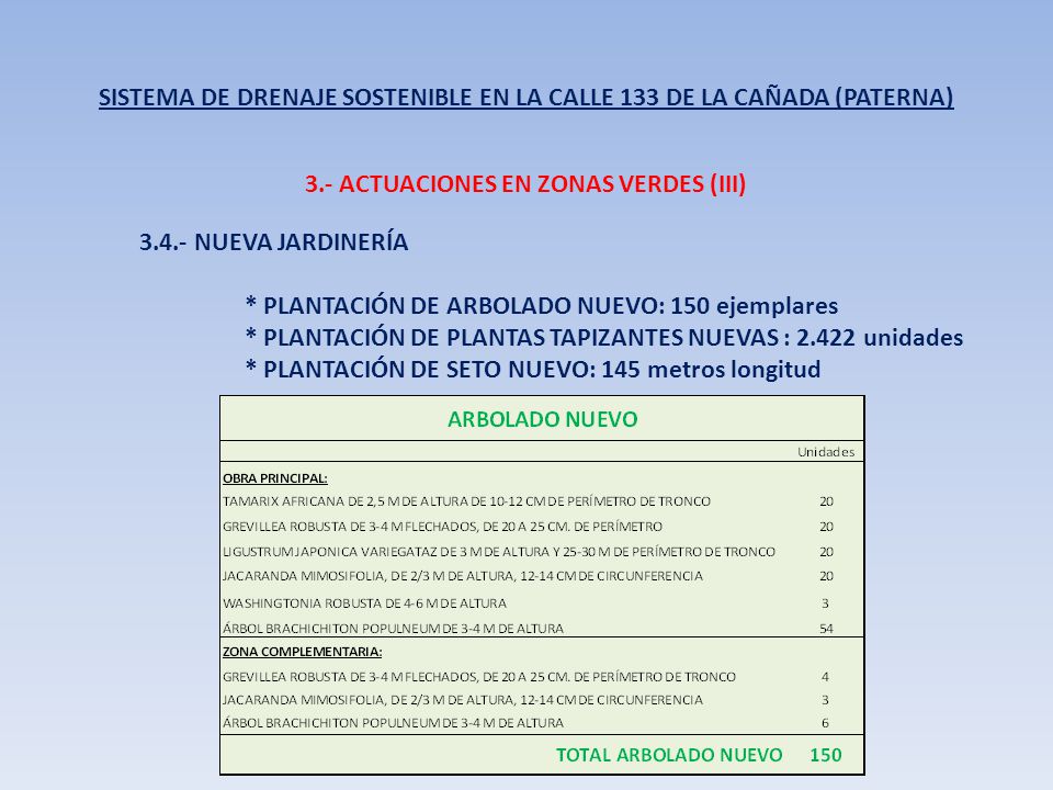 SISTEMA DE DRENAJE SOSTENIBLE EN LA CALLE 133 DE LA CAÑADA (PATERNA)