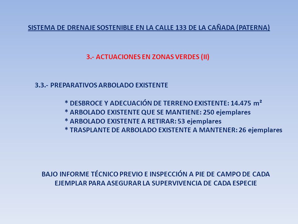 SISTEMA DE DRENAJE SOSTENIBLE EN LA CALLE 133 DE LA CAÑADA (PATERNA)