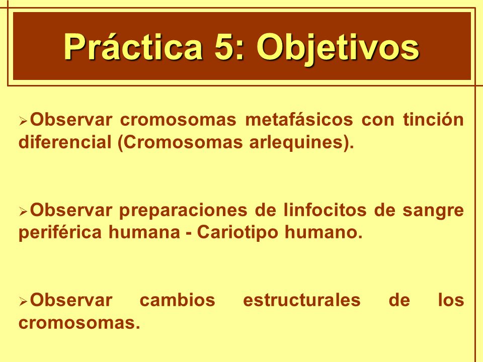 Práctica 5: Objetivos GENÈTICA MENDELIANA