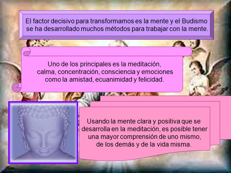 El factor decisivo para transformarnos es la mente y el Budismo