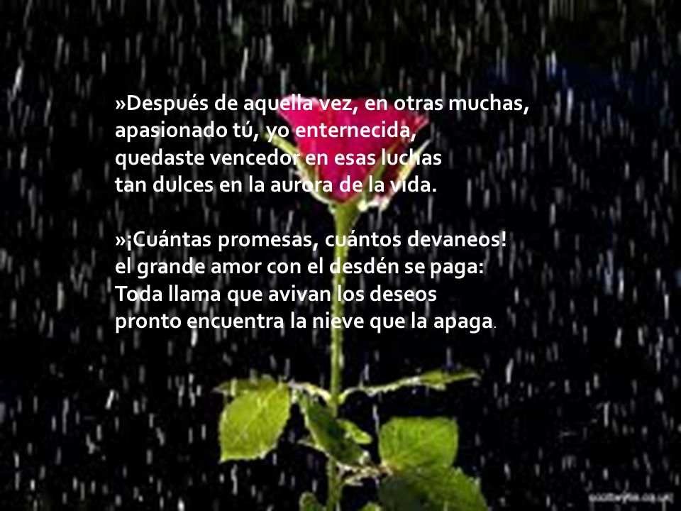 »Después de aquella vez, en otras muchas, apasionado tú, yo enternecida, quedaste vencedor en esas luchas tan dulces en la aurora de la vida.