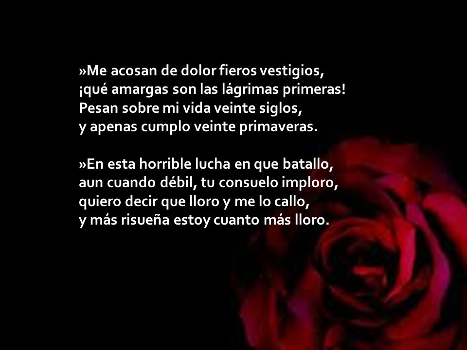 »Me acosan de dolor fieros vestigios, ¡qué amargas son las lágrimas primeras.