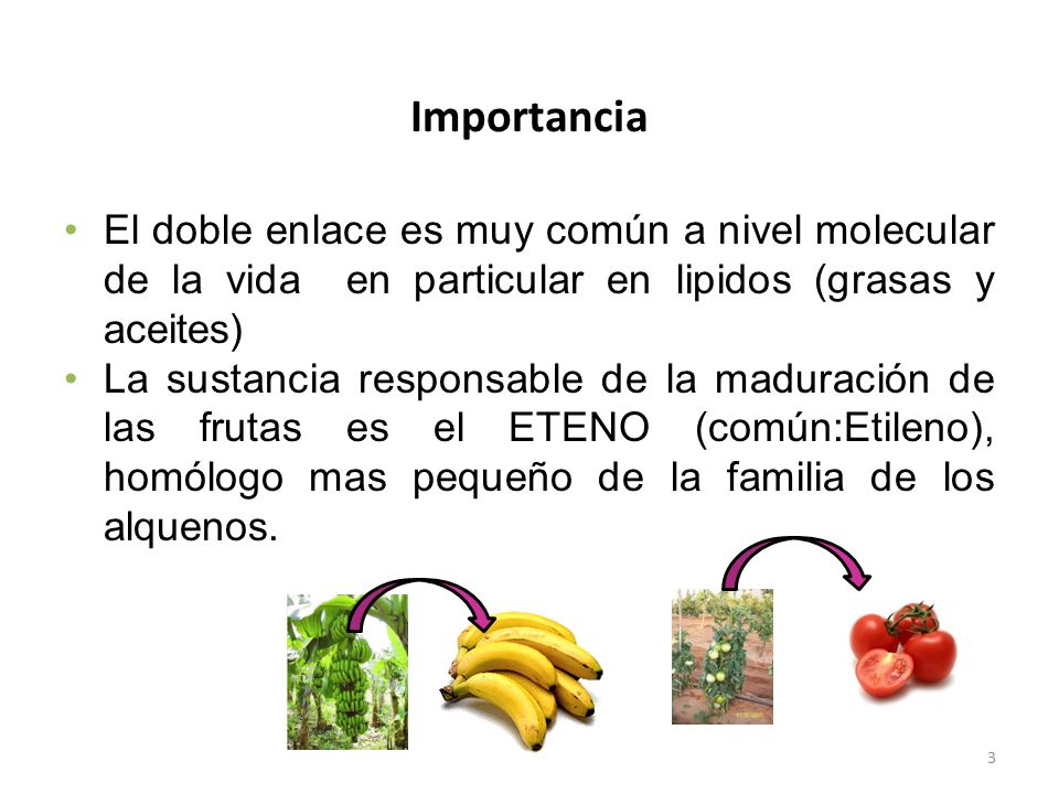 Importancia El doble enlace es muy común a nivel molecular de la vida en particular en lipidos (grasas y aceites)