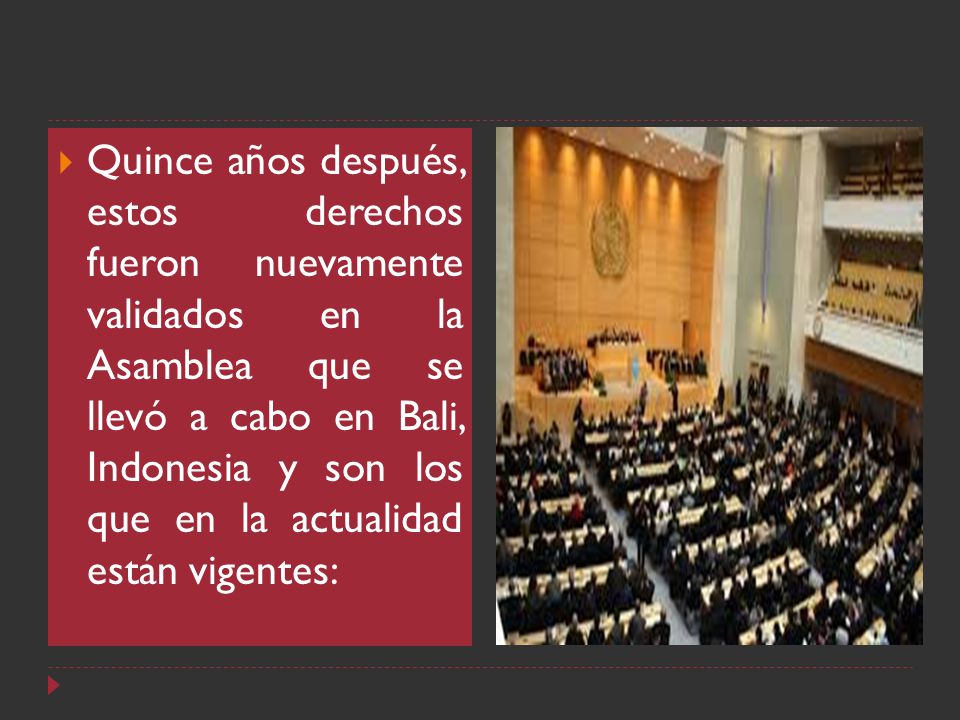 Quince años después, estos derechos fueron nuevamente validados en la Asamblea que se llevó a cabo en Bali, Indonesia y son los que en la actualidad están vigentes: