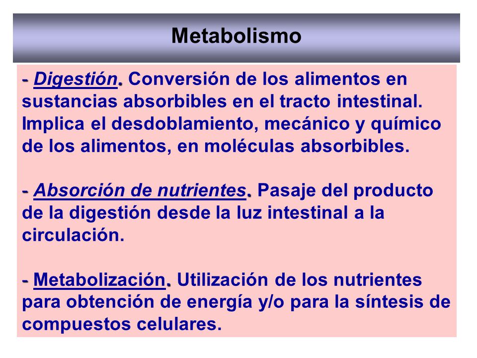 Metabolismo