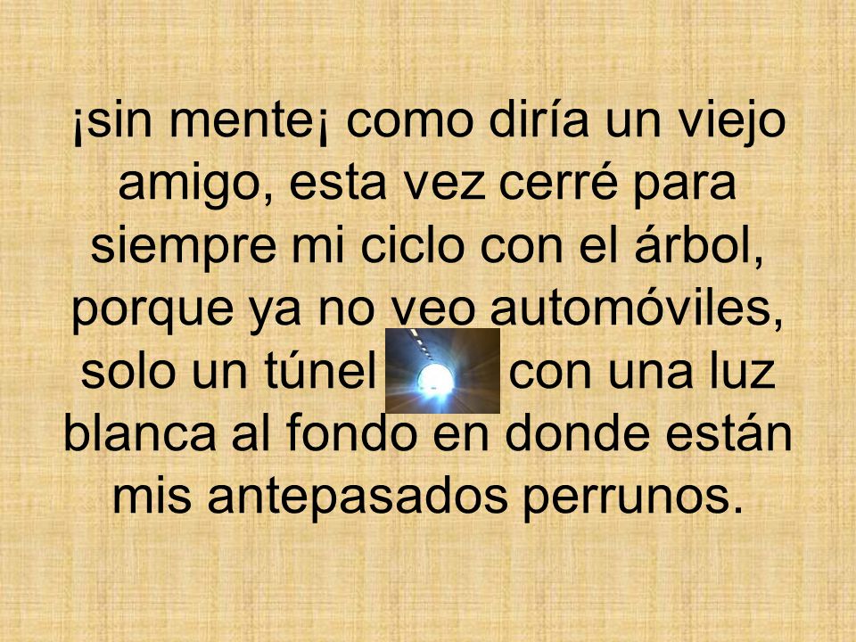 ¡sin mente¡ como diría un viejo amigo, esta vez cerré para siempre mi ciclo con el árbol, porque ya no veo automóviles, solo un túnel con una luz blanca al fondo en donde están mis antepasados perrunos.