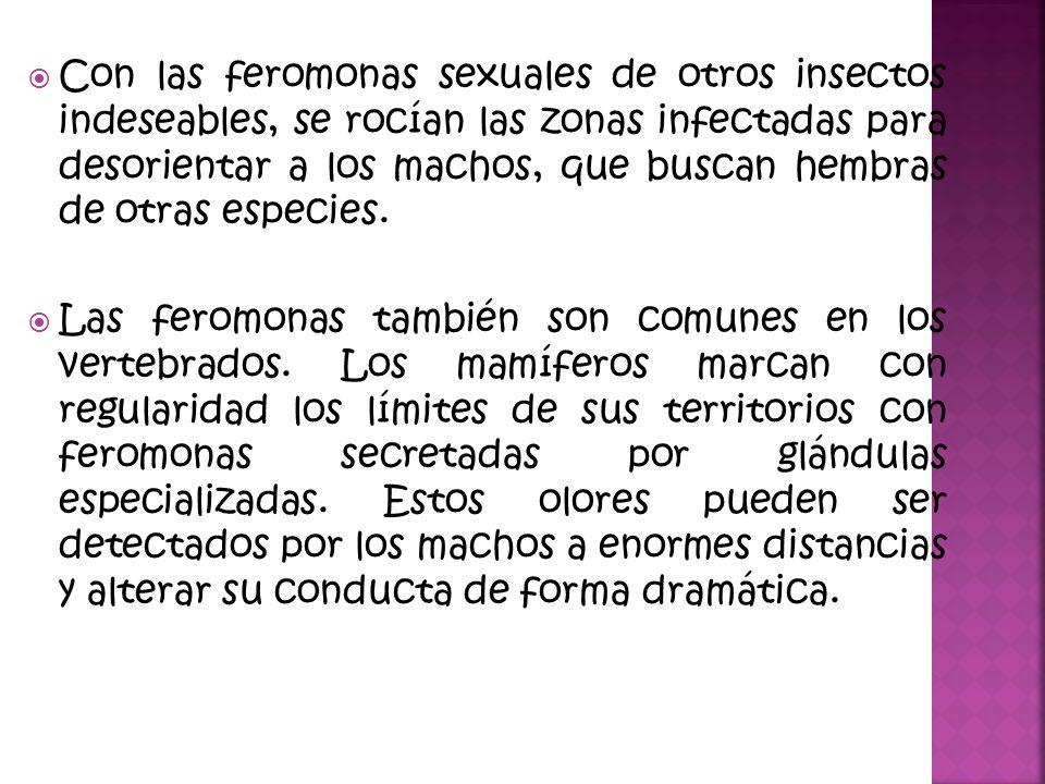 Con las feromonas sexuales de otros insectos indeseables, se rocían las zonas infectadas para desorientar a los machos, que buscan hembras de otras especies.