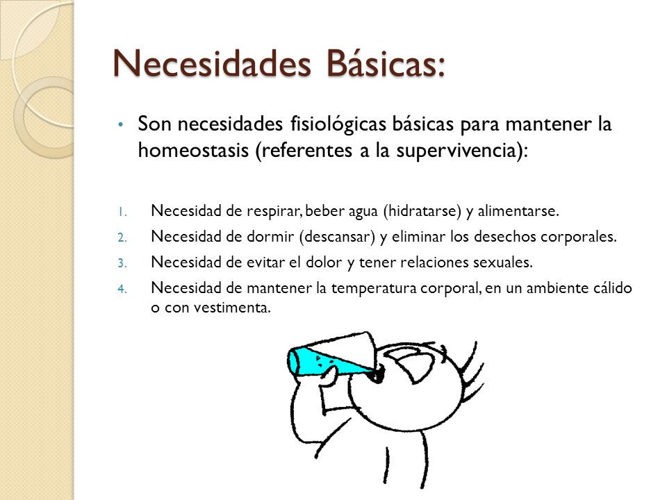 Necesidades Básicas: Son necesidades fisiológicas básicas para mantener la homeostasis (referentes a la supervivencia):