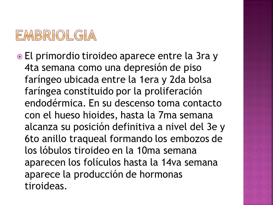 Embriolgia
