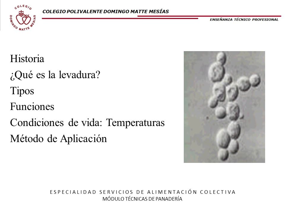 MÓDULO TÉCNICAS DE PANADERÍA