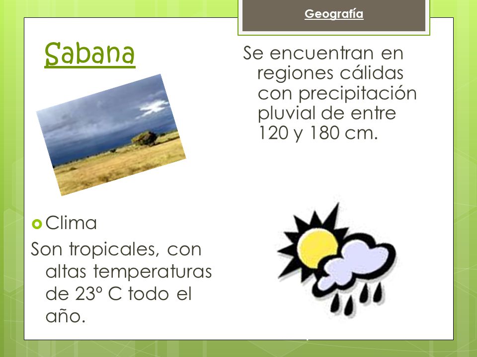 Geografía Sabana. Se encuentran en regiones cálidas con precipitación pluvial de entre 120 y 180 cm.