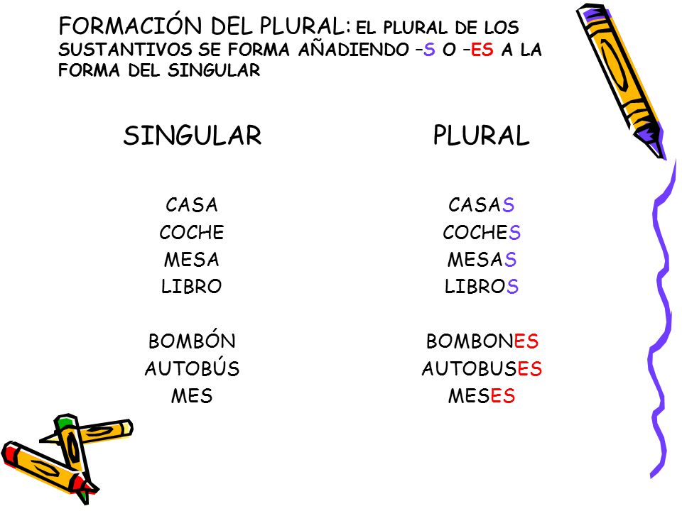 FORMACIÓN DEL PLURAL: EL PLURAL DE LOS SUSTANTIVOS SE FORMA AÑADIENDO –S O –ES A LA FORMA DEL SINGULAR