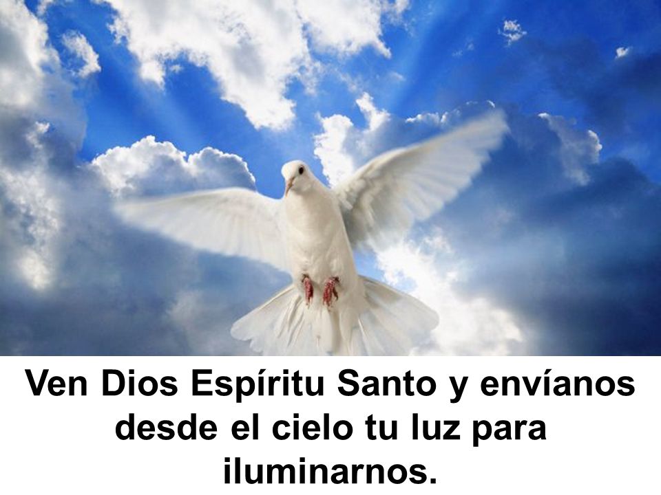Ven Dios Espíritu Santo y envíanos desde el cielo tu luz para iluminarnos.