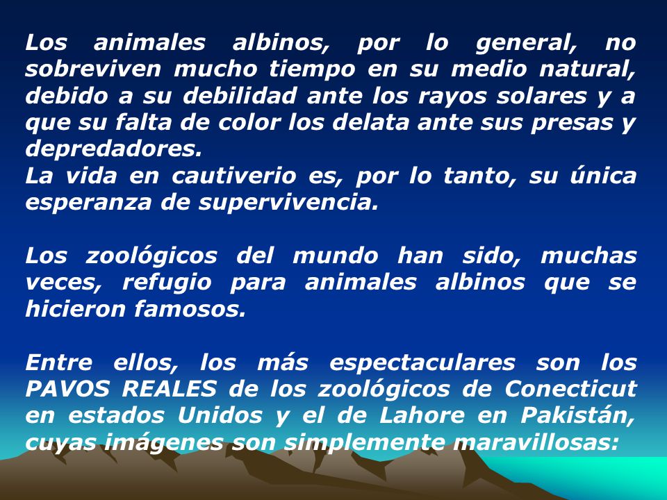 Los animales albinos, por lo general, no sobreviven mucho tiempo en su medio natural, debido a su debilidad ante los rayos solares y a que su falta de color los delata ante sus presas y depredadores.