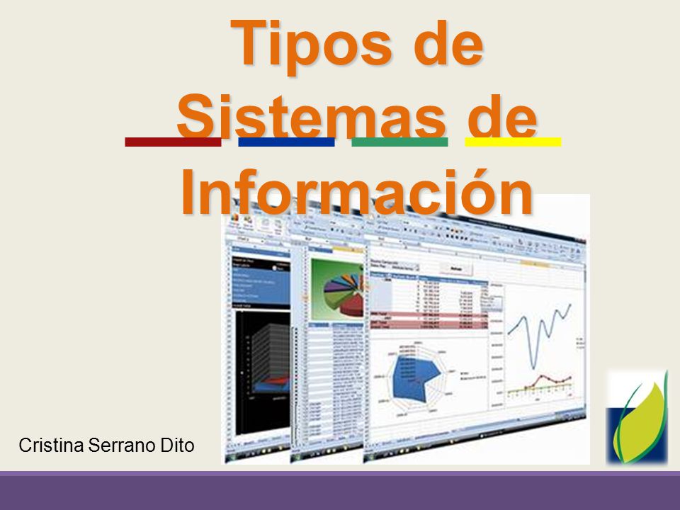 Tipos de Sistemas de Información