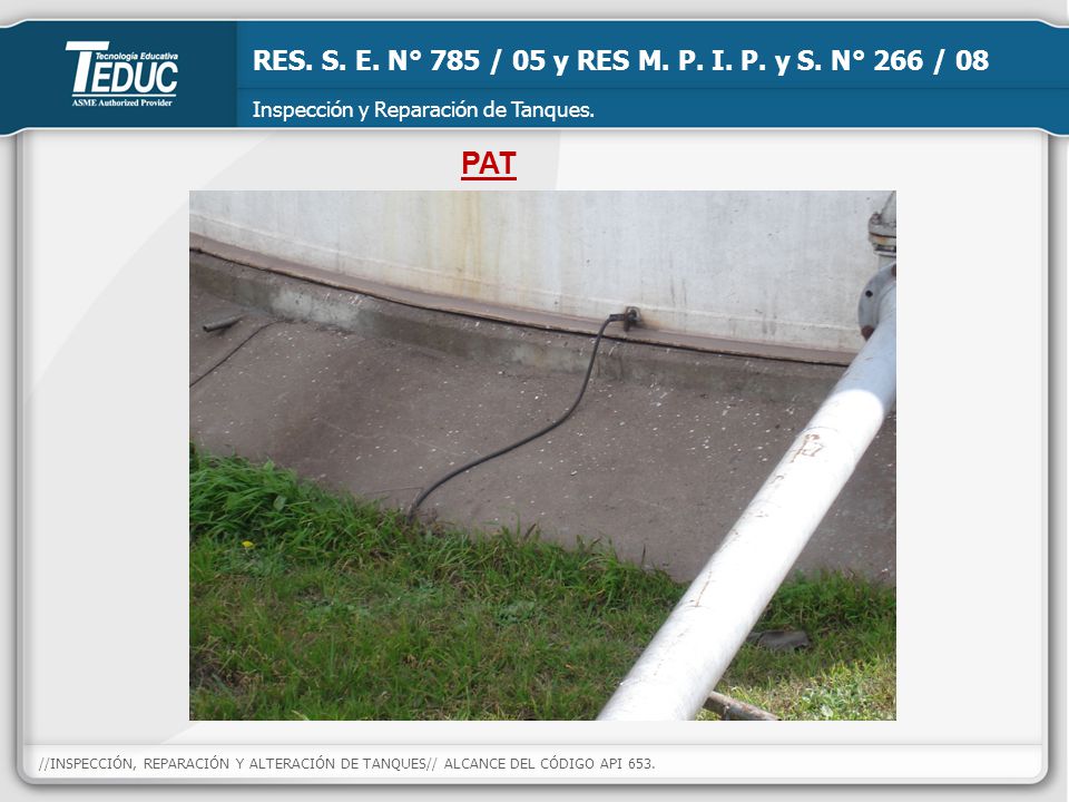 PAT RES. S. E. N° 785 / 05 y RES M. P. I. P. y S. N° 266 / 08