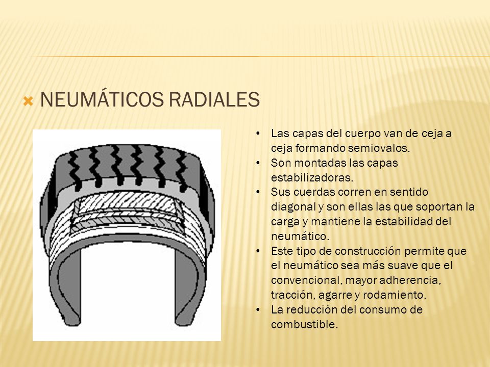 NEUMÁTICOS RADIALES Las capas del cuerpo van de ceja a ceja formando semiovalos. Son montadas las capas estabilizadoras.