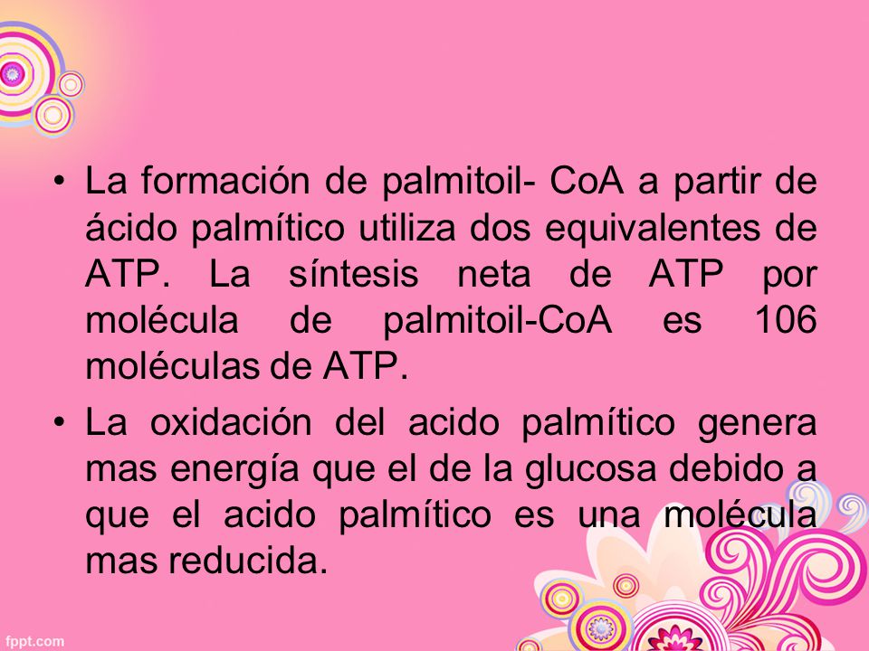La formación de palmitoil- CoA a partir de ácido palmítico utiliza dos equivalentes de ATP. La síntesis neta de ATP por molécula de palmitoil-CoA es 106 moléculas de ATP.
