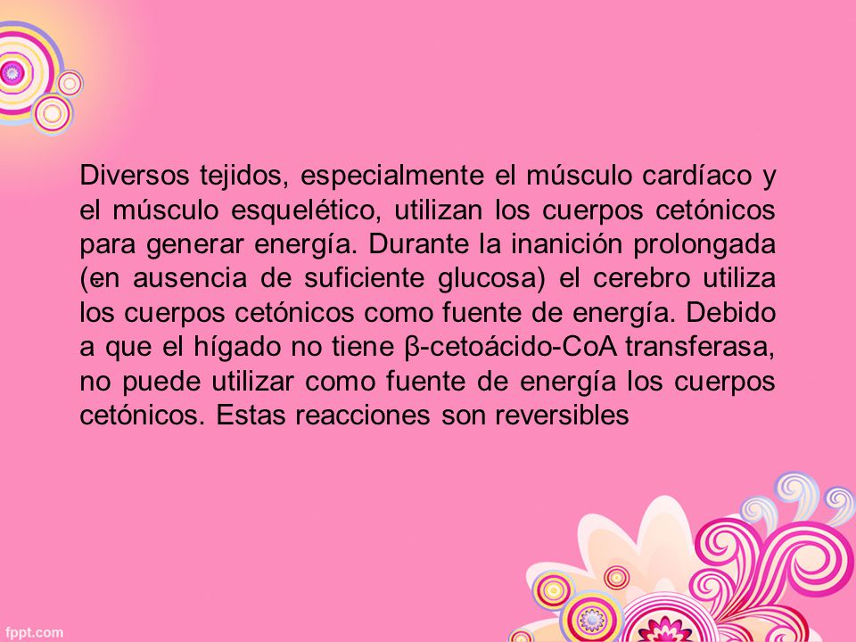 Diversos tejidos, especialmente el músculo cardíaco y el músculo esquelético, utilizan los cuerpos cetónicos para generar energía. Durante la inanición prolongada (en ausencia de suficiente glucosa) el cerebro utiliza los cuerpos cetónicos como fuente de energía. Debido a que el hígado no tiene β-cetoácido-CoA transferasa, no puede utilizar como fuente de energía los cuerpos cetónicos. Estas reacciones son reversibles