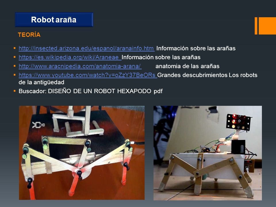 Robot araña TEORÍA.   Información sobre las arañas.